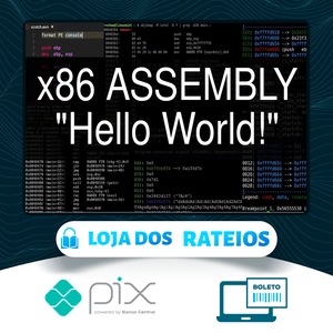 X86 Assembly Programming - Lucas Mayrhofer [INGLÊS]